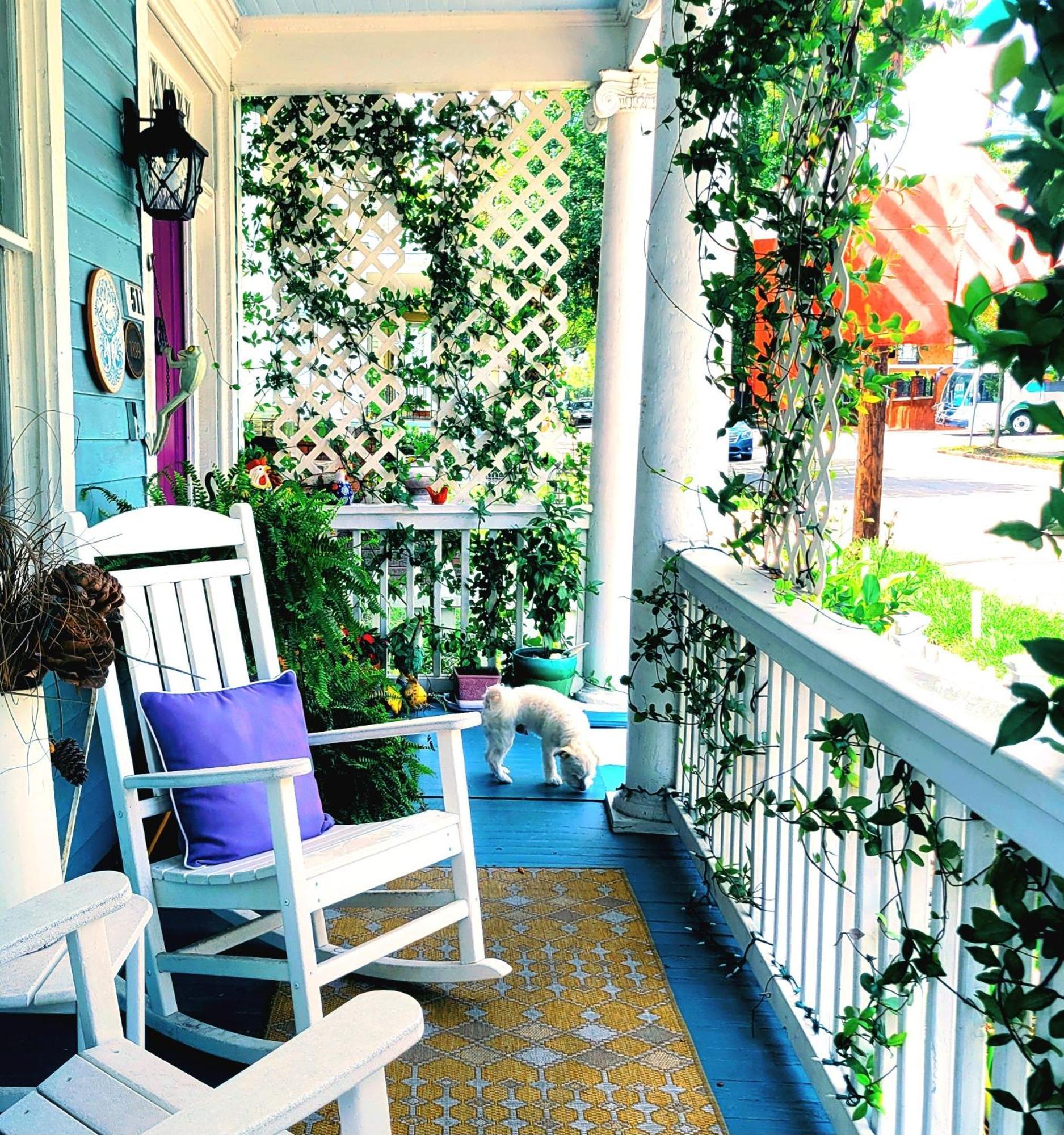 B&B Zia Gianna Savannah Exterior foto